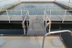 Настил композитный 38х38/30x7/3666x1226 FD-FR S 7035, рис. 1