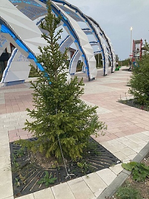 Сквер в поселке Бурабай, Акмолинской области